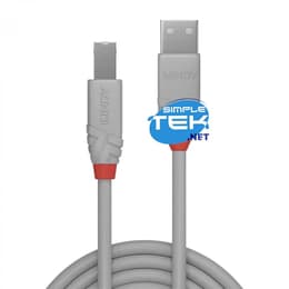 Lindy USB Type A Male - Type B Male Καλώδιο